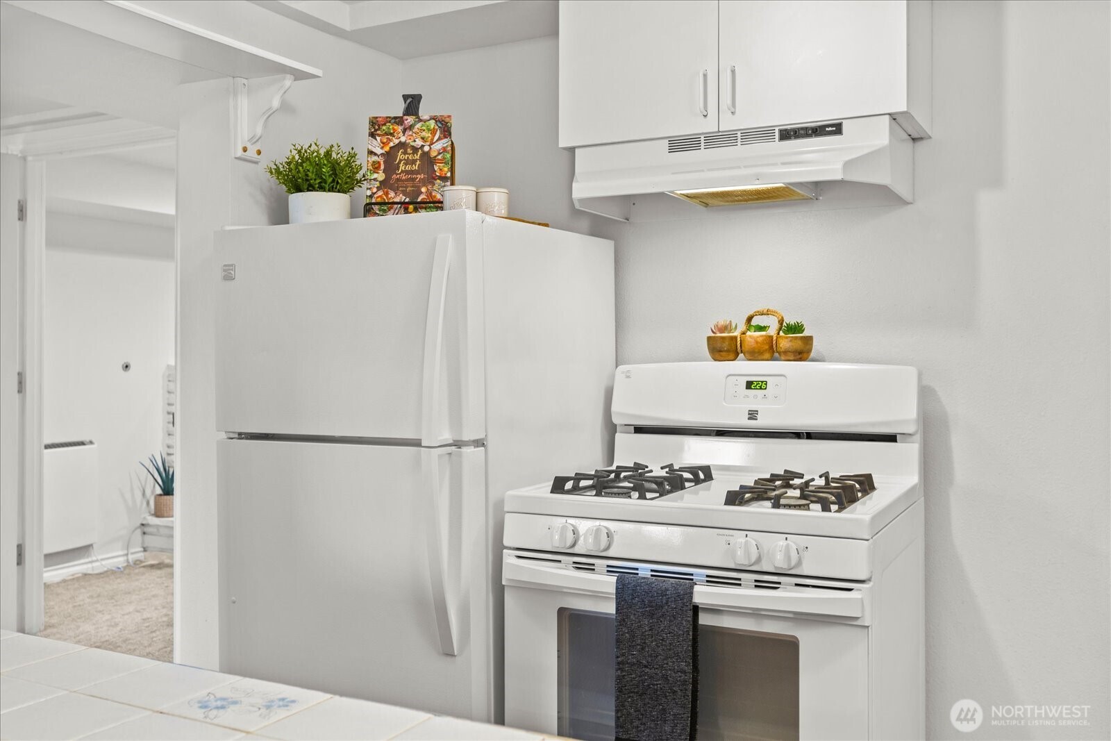 11513 Palatine Avenue N