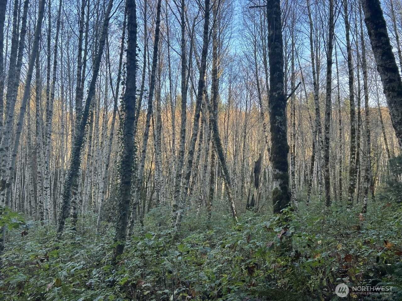 1 XX View Drive NE