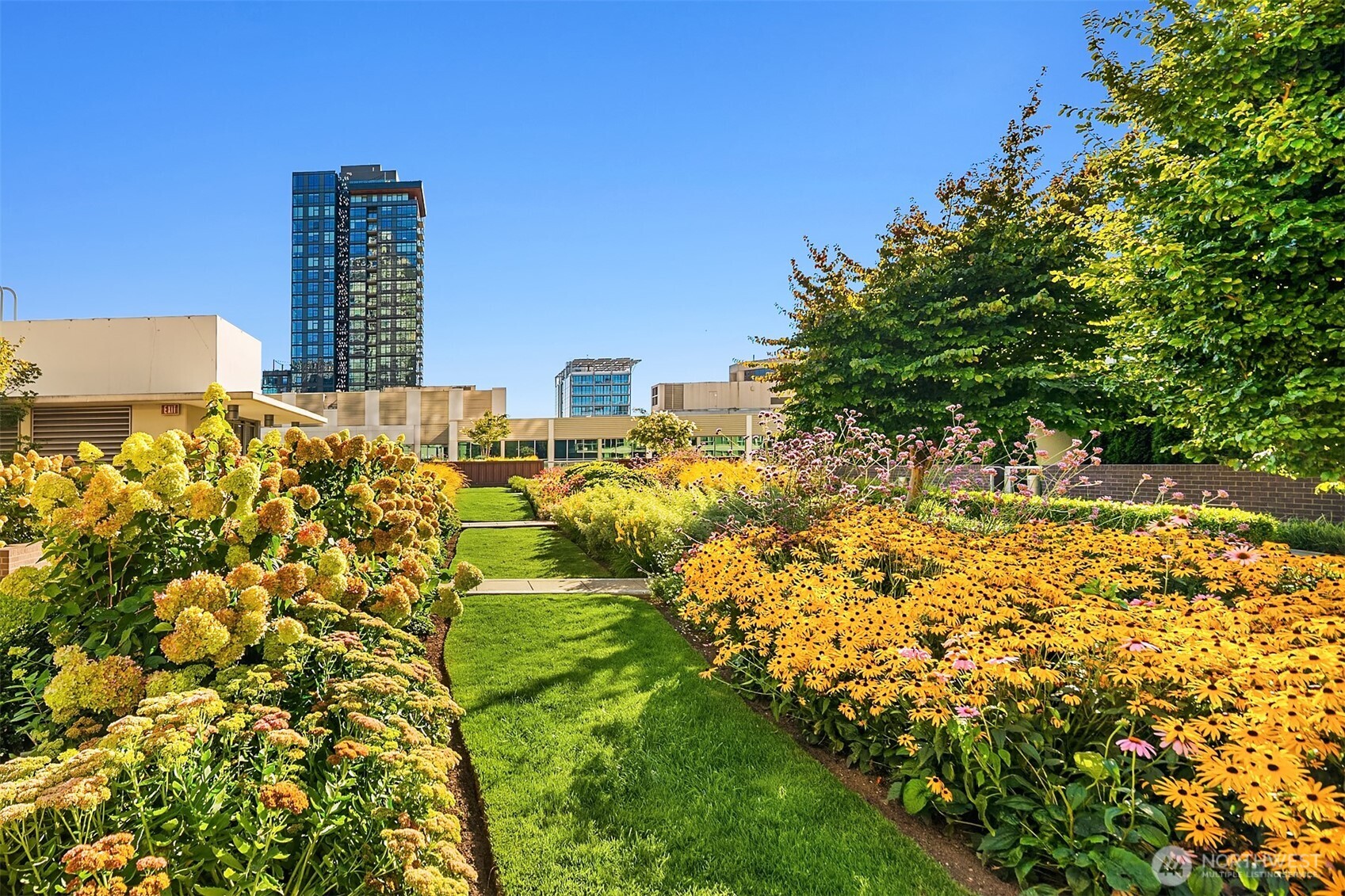 583 Battery Street Unit: 2208N