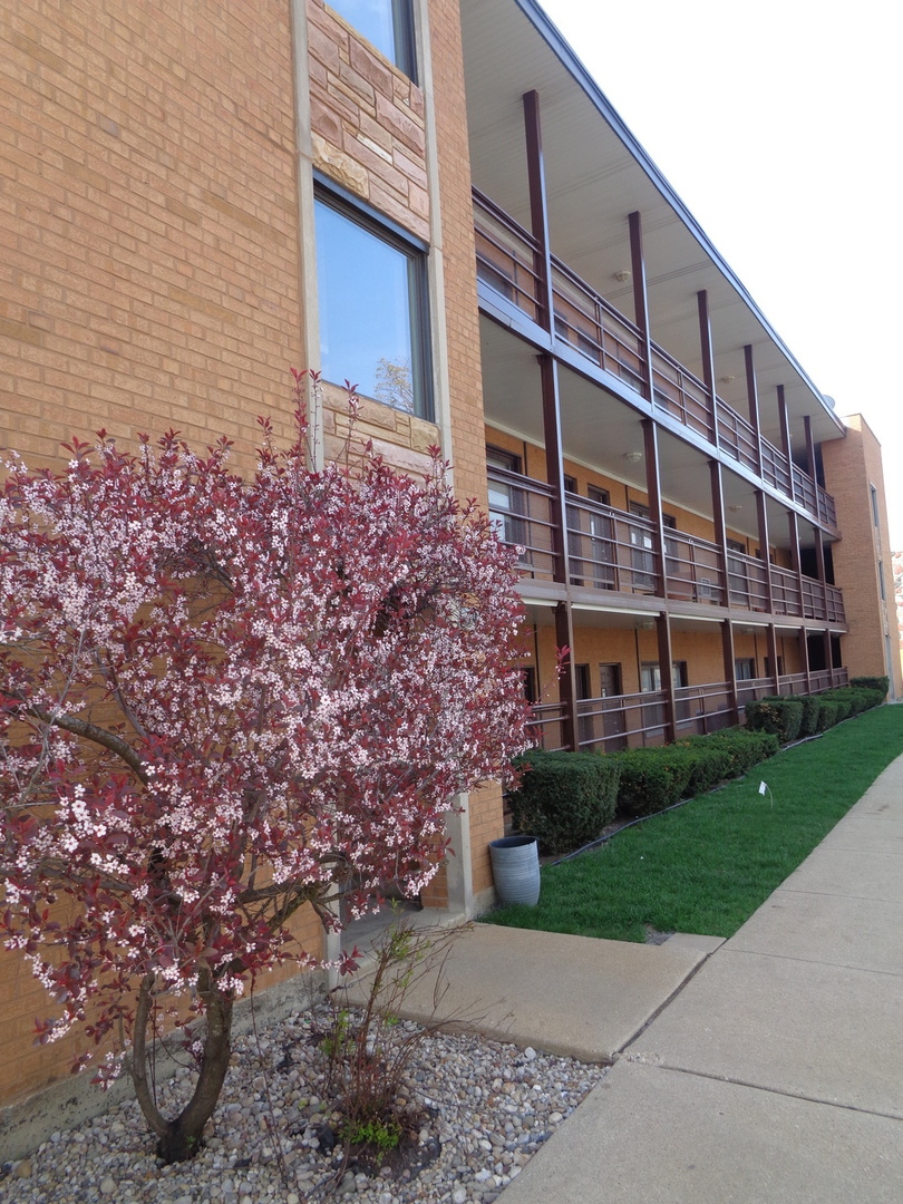 5901 N Naper Avenue Unit: 1D