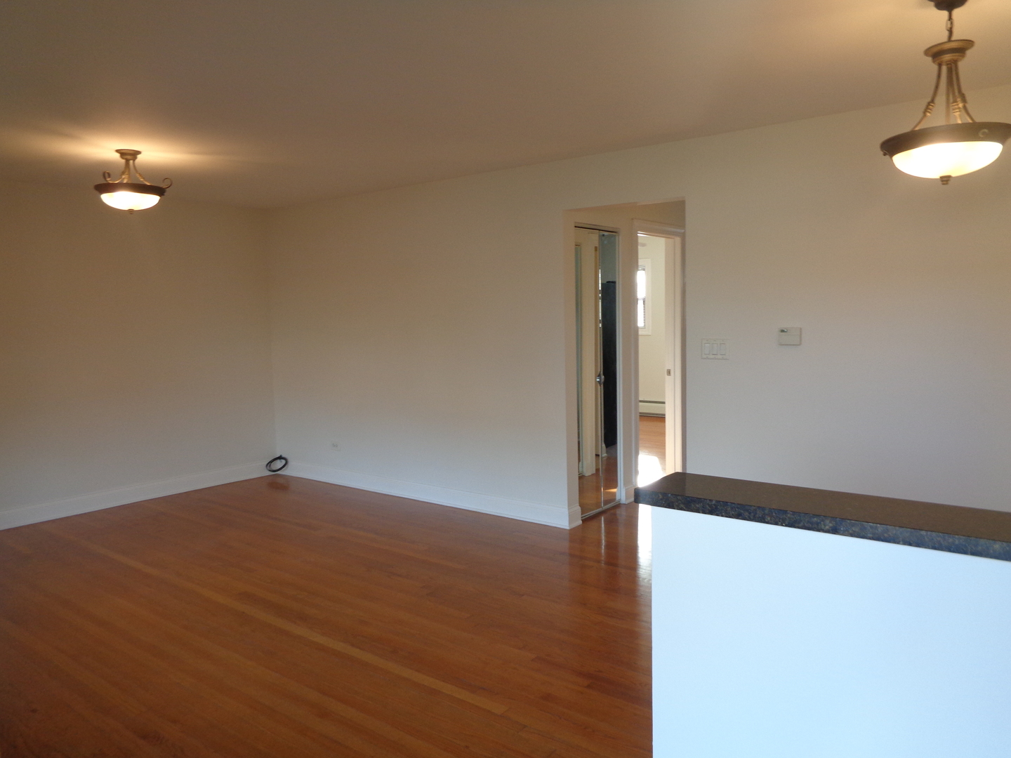 5901 N Naper Avenue Unit: 1D