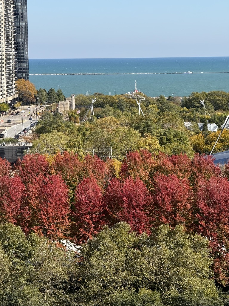 130 N Garland Court Unit: 1411-1412