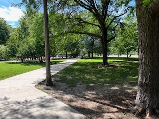 1301 W Madison Street Unit: 306