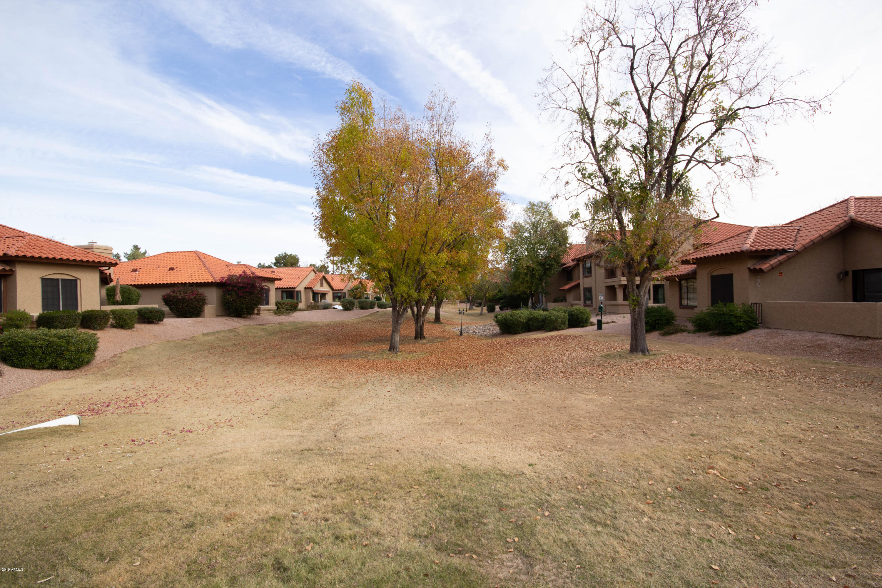 8700 E MOUNTAIN VIEW Road # 1076