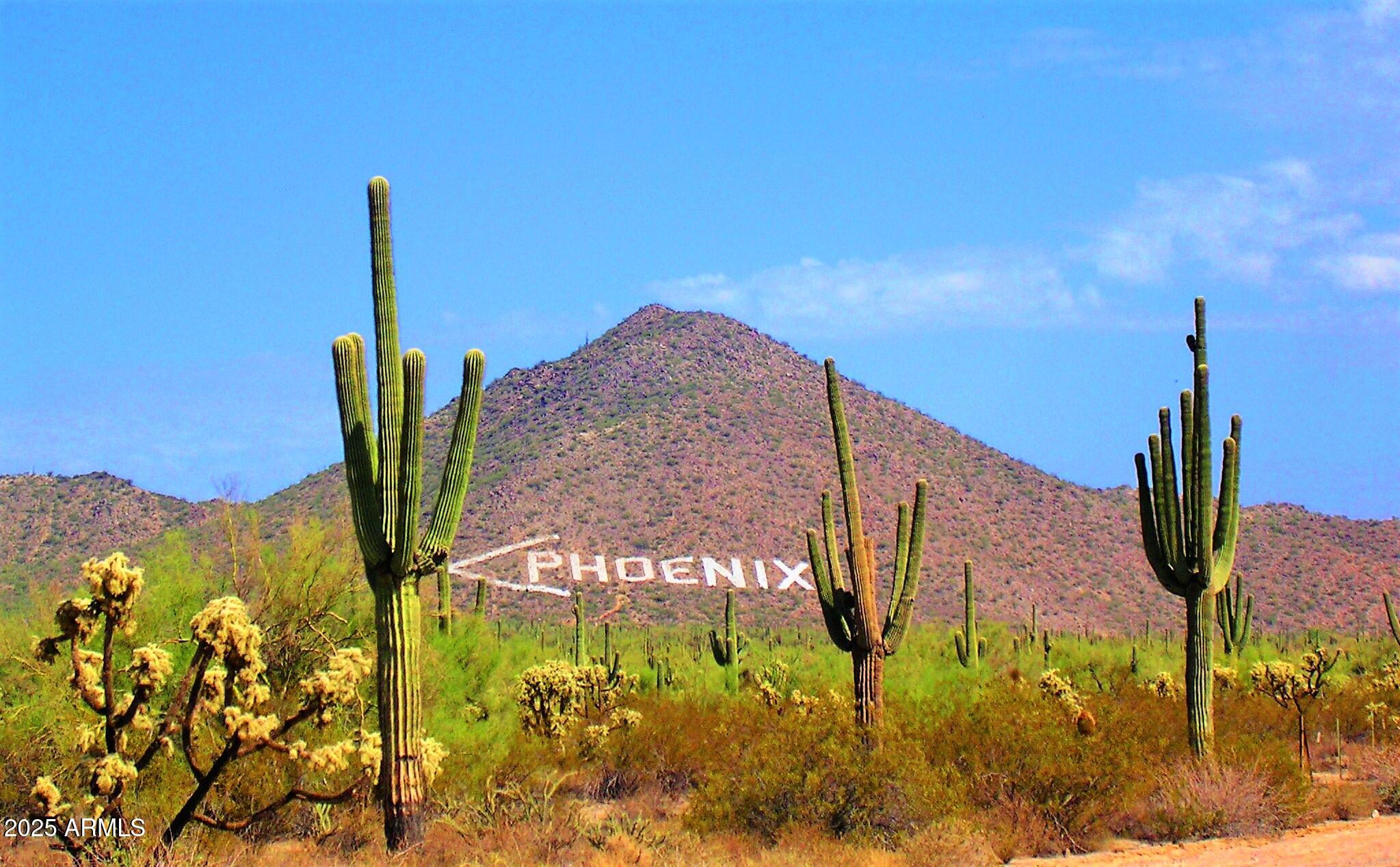 6334 E VIEWMONT Drive 57