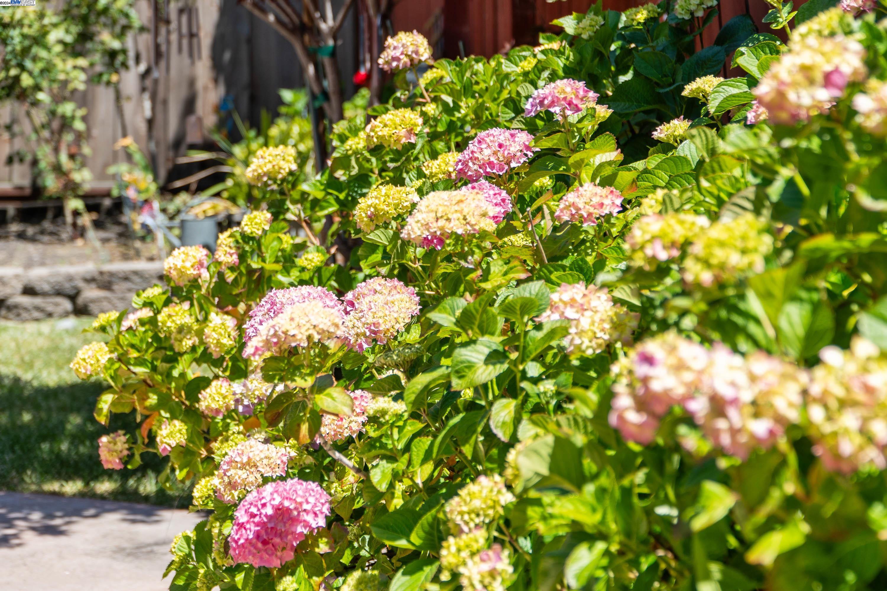 17354 Via El Cerrito