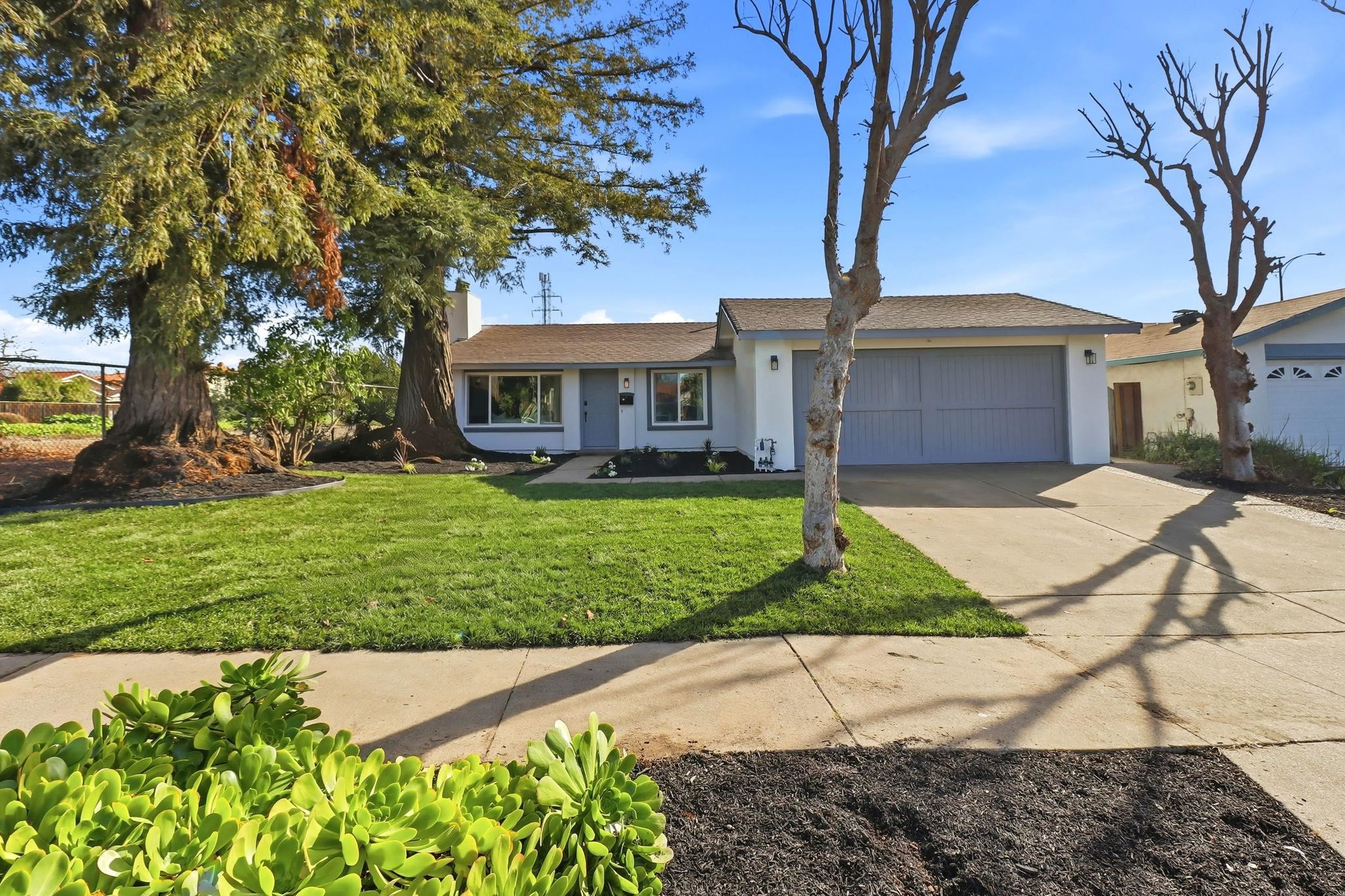 2272 Shadowtree