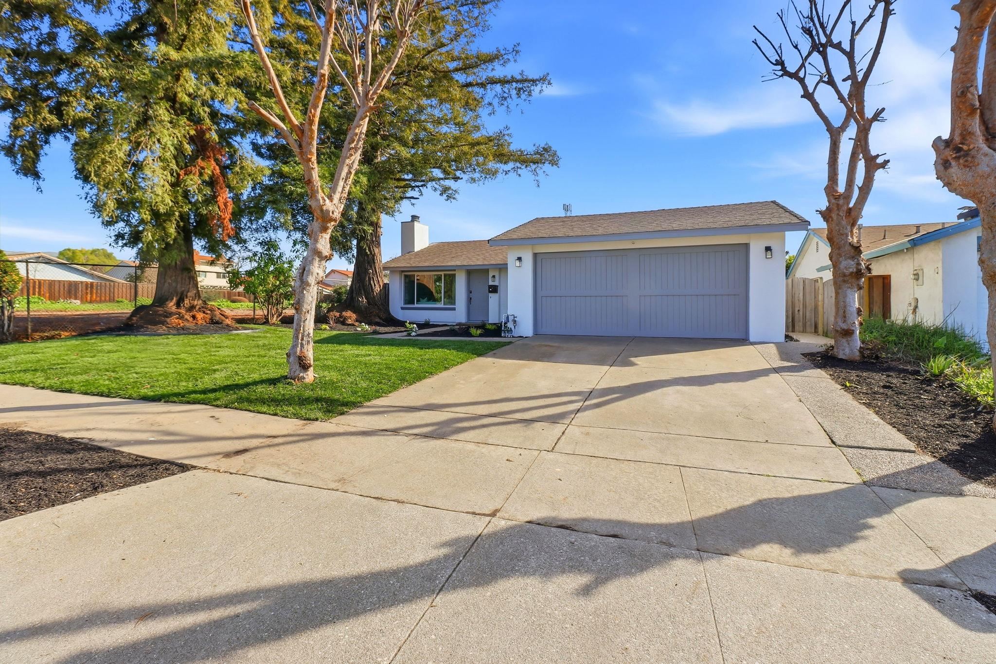 2272 Shadowtree