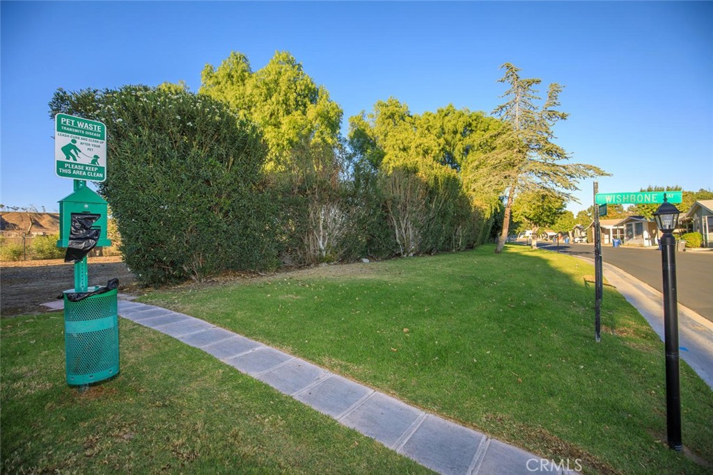 26501 Cockleburr Lane