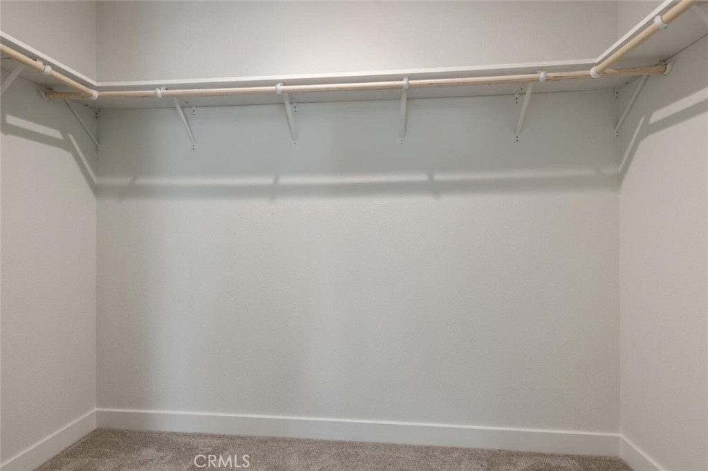 26501 Cockleburr Lane