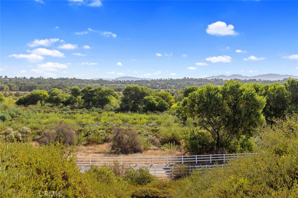 24158 Arrowhead Court 80