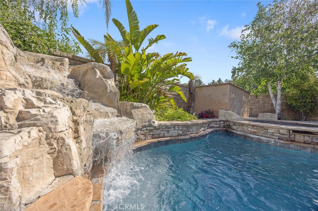 27448 Whitefield Place