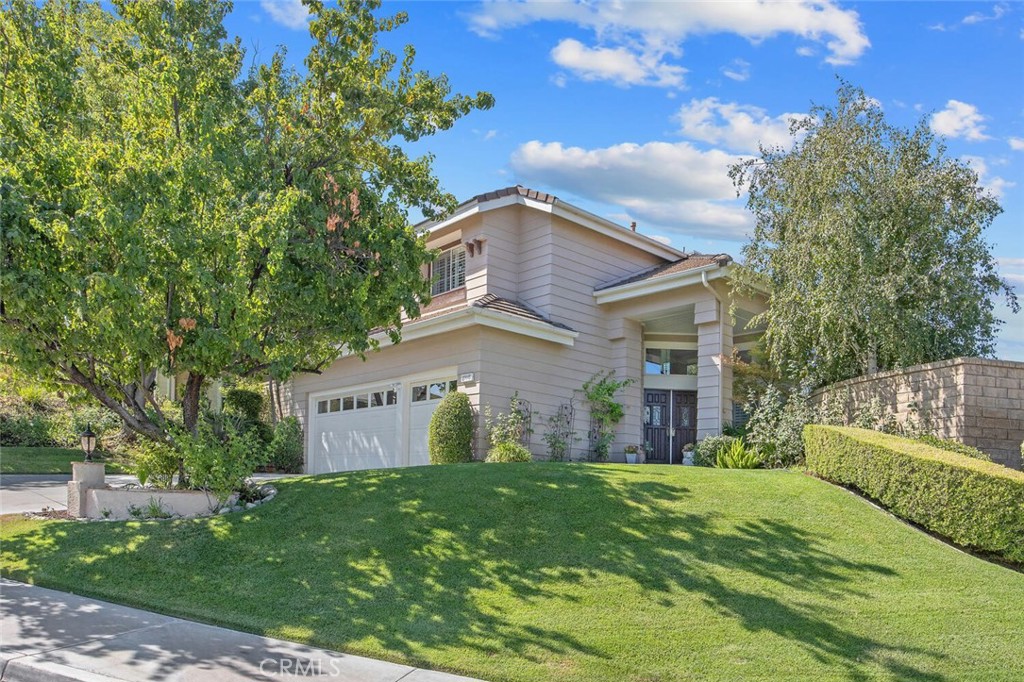27448 Whitefield Place