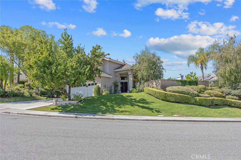 27448 Whitefield Place