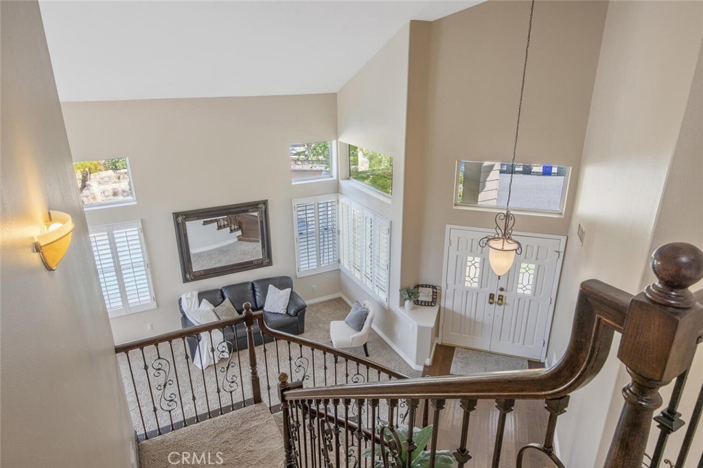 27448 Whitefield Place