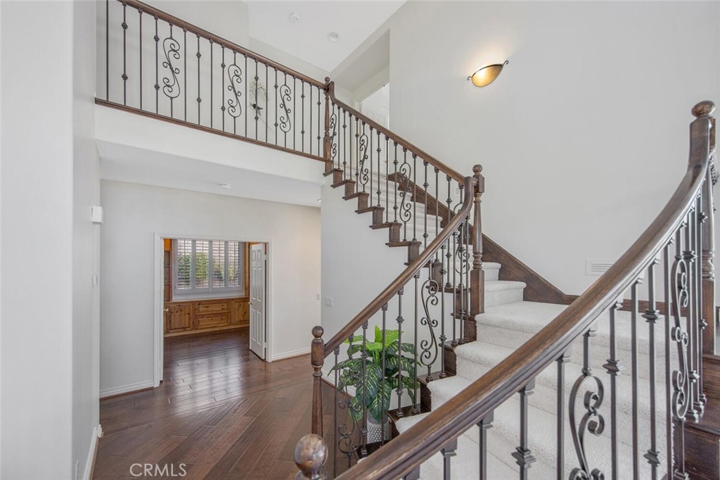 27448 Whitefield Place