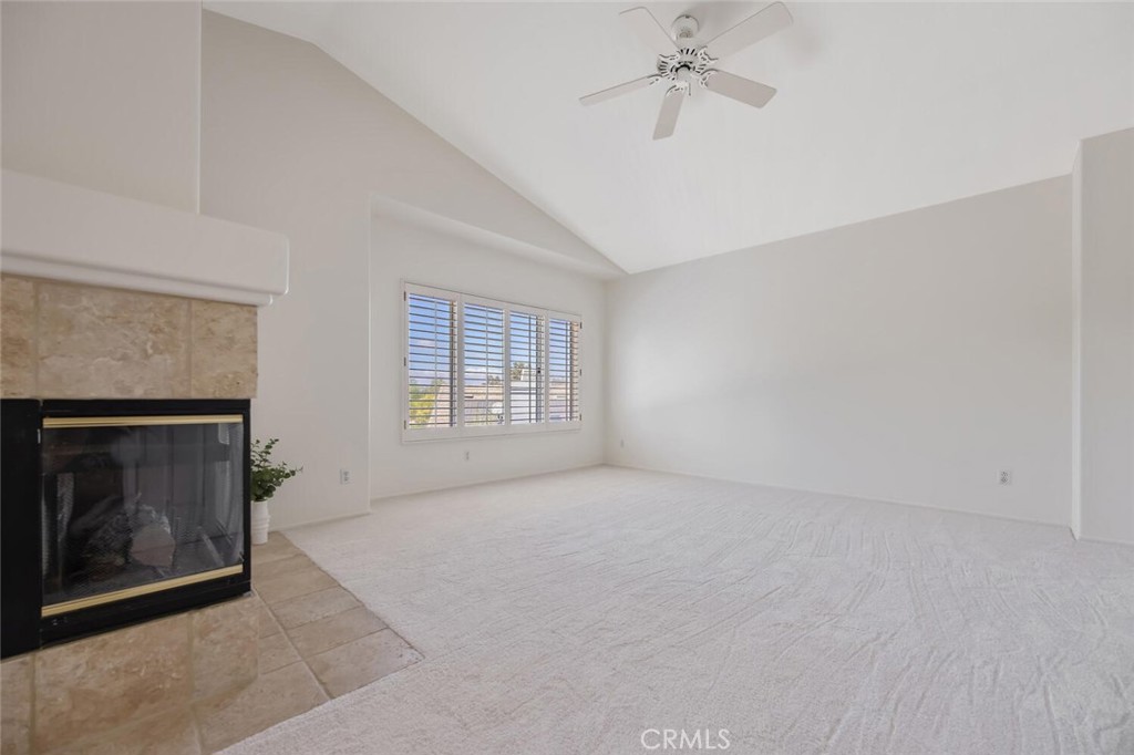 27448 Whitefield Place