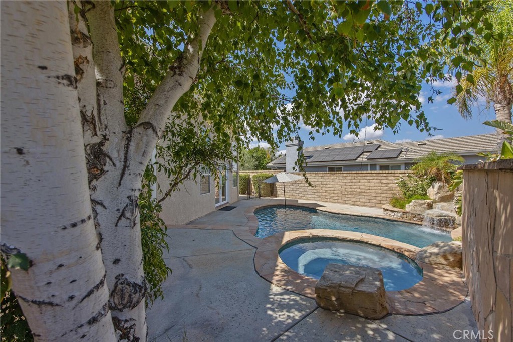 27448 Whitefield Place