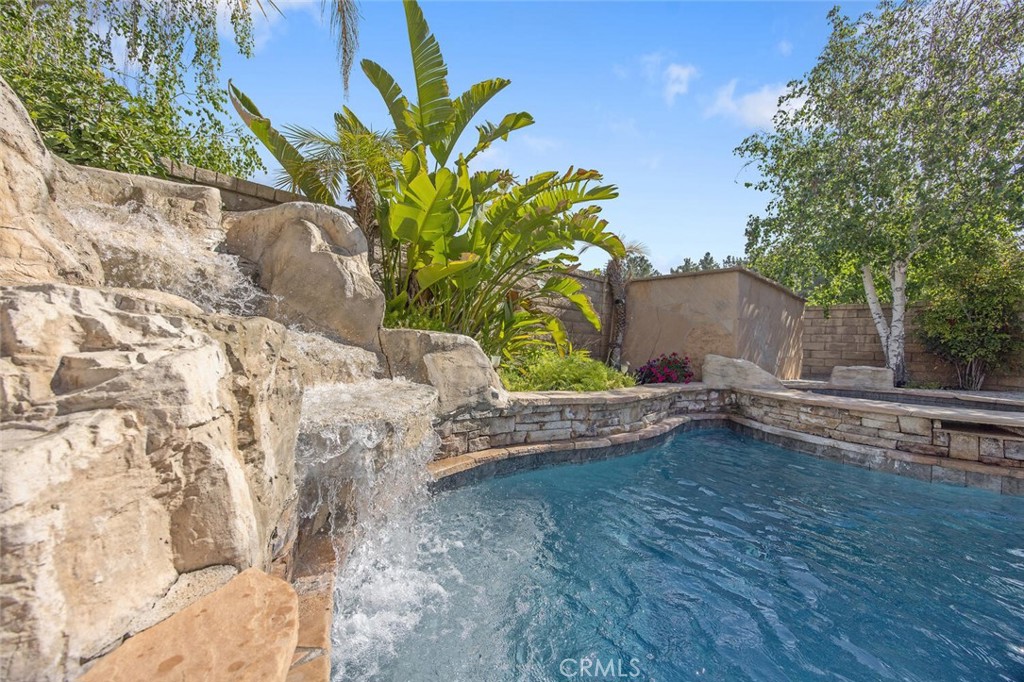 27448 Whitefield Place