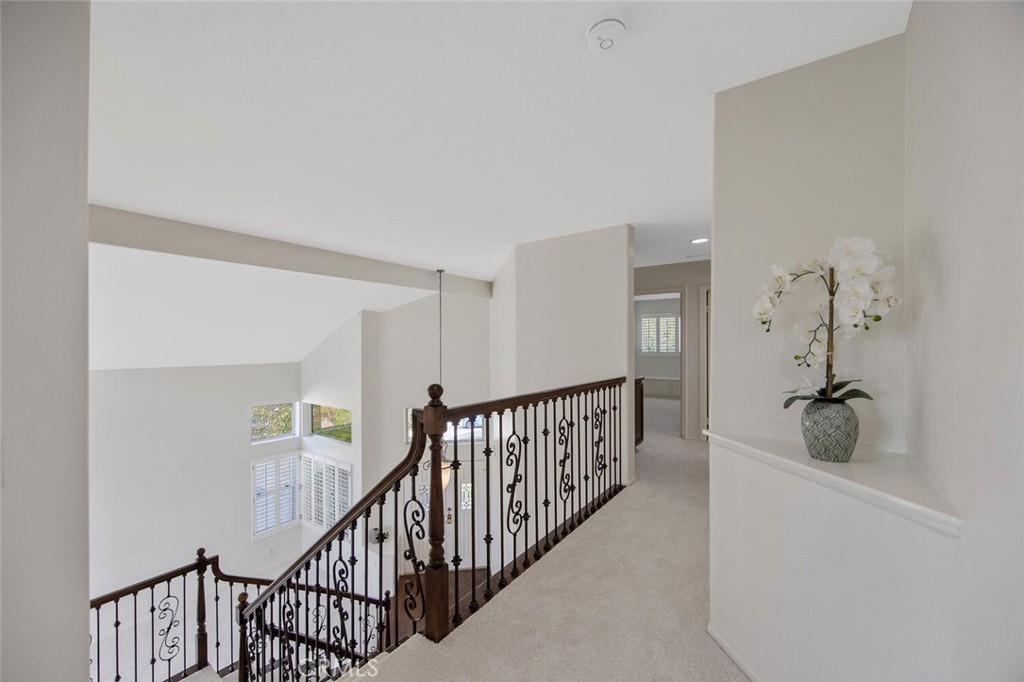 27448 Whitefield Place