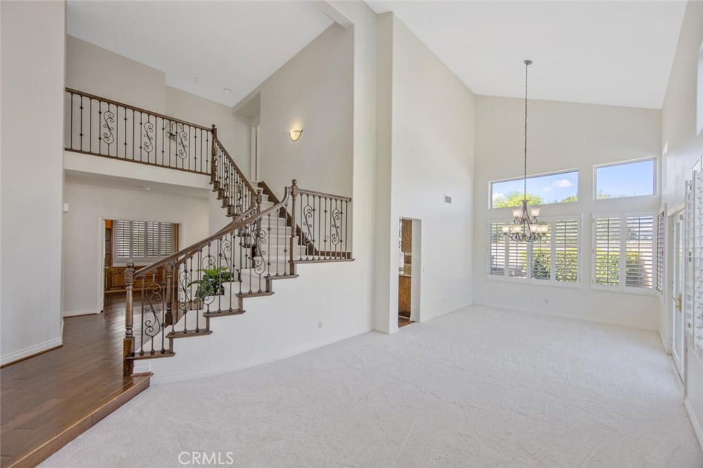 27448 Whitefield Place