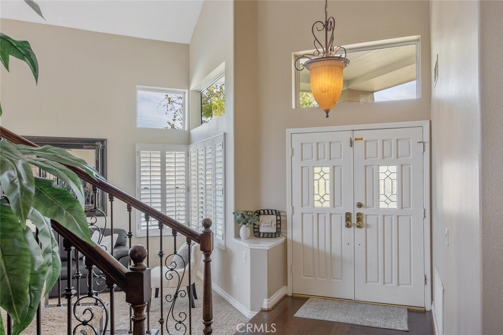 27448 Whitefield Place