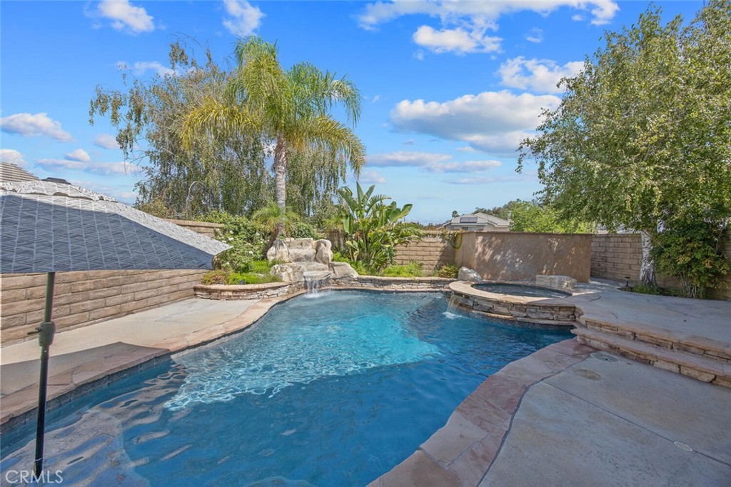 27448 Whitefield Place