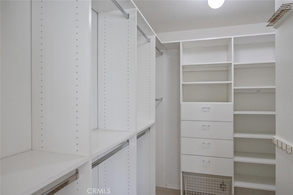 27448 Whitefield Place