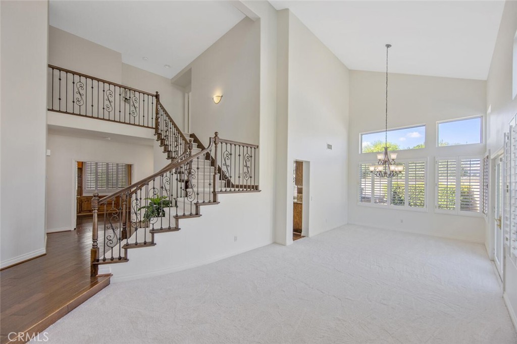 27448 Whitefield Place