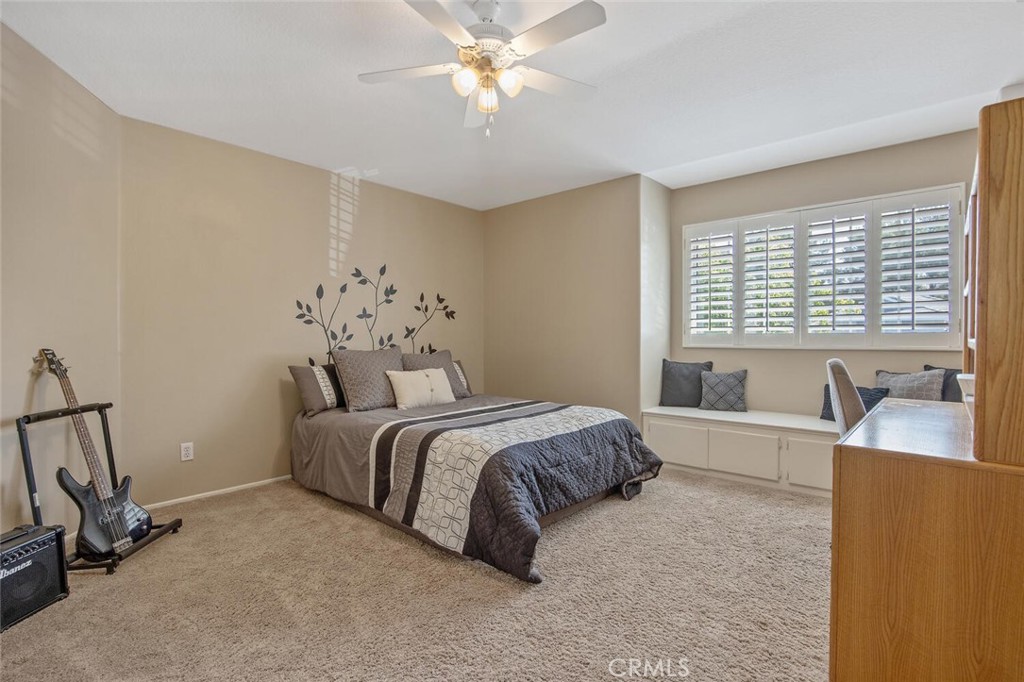27448 Whitefield Place