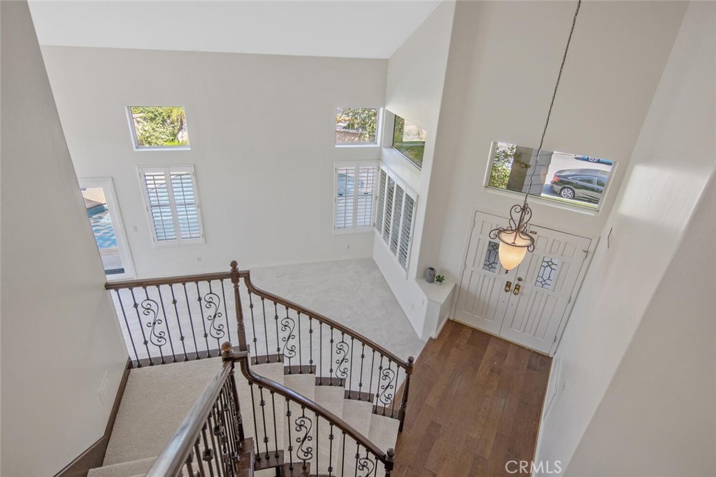 27448 Whitefield Place