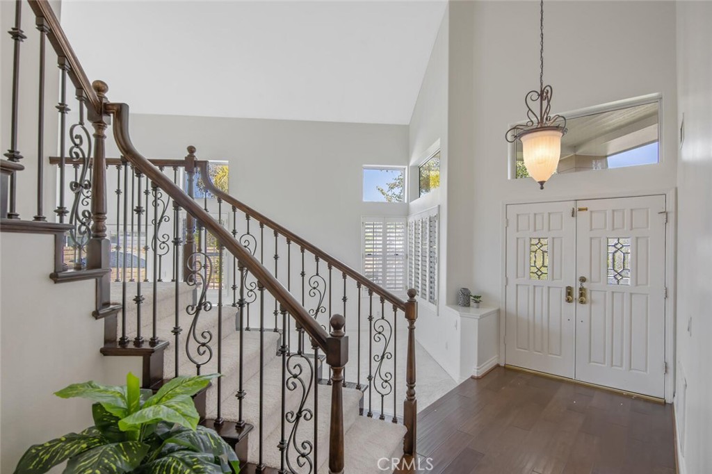27448 Whitefield Place