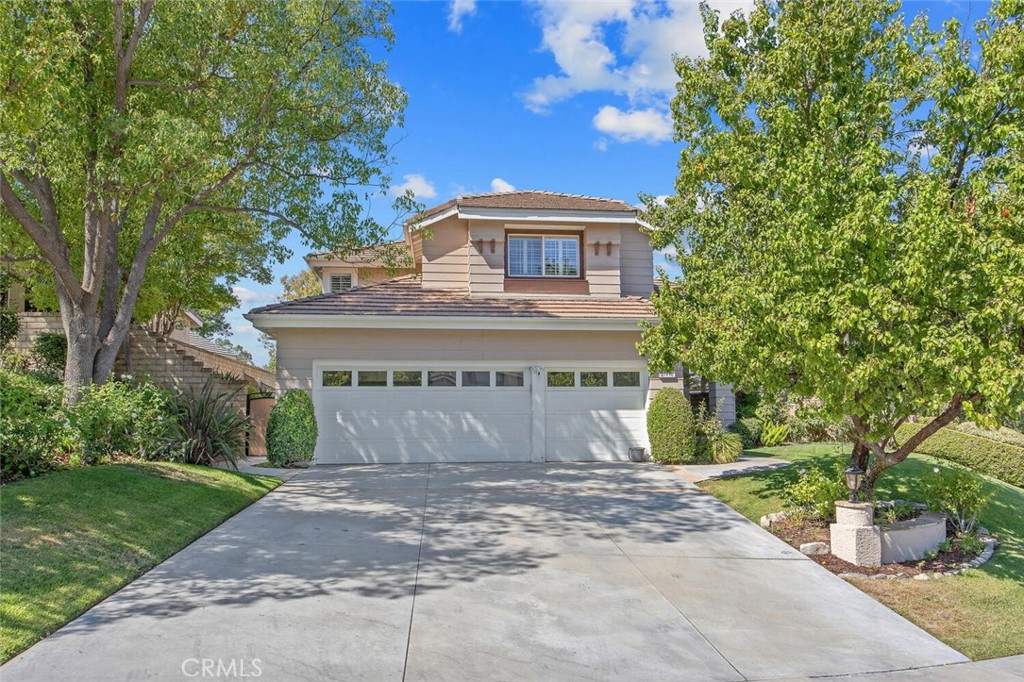 27448 Whitefield Place