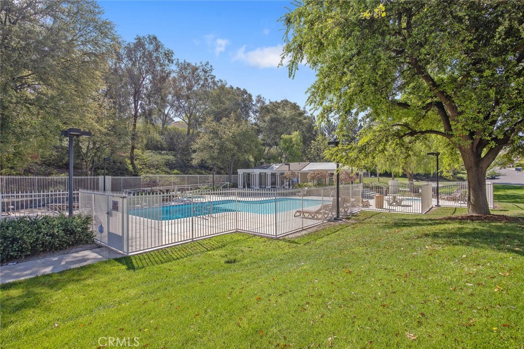 27448 Whitefield Place
