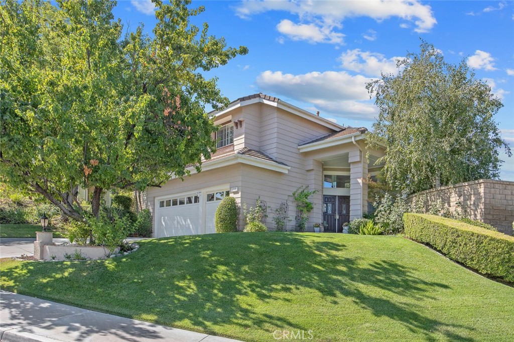 27448 Whitefield Place