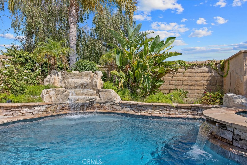 27448 Whitefield Place