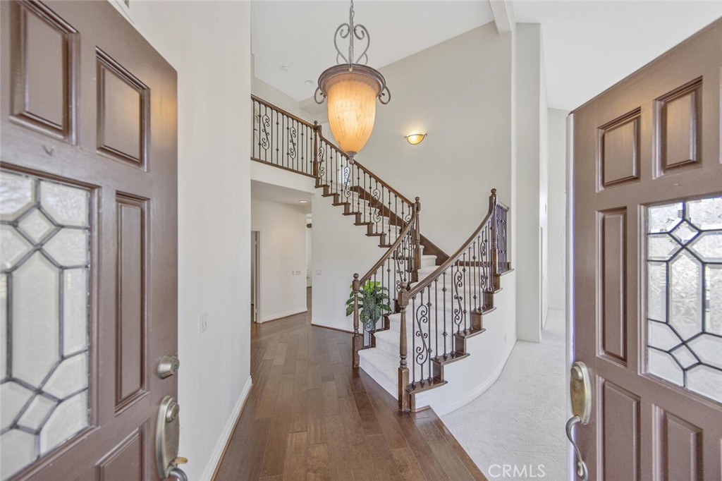 27448 Whitefield Place