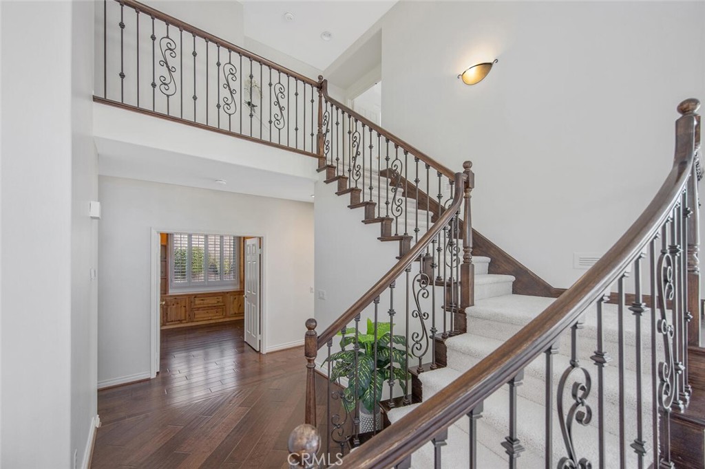 27448 Whitefield Place