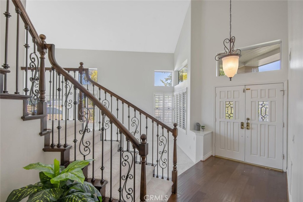 27448 Whitefield Place