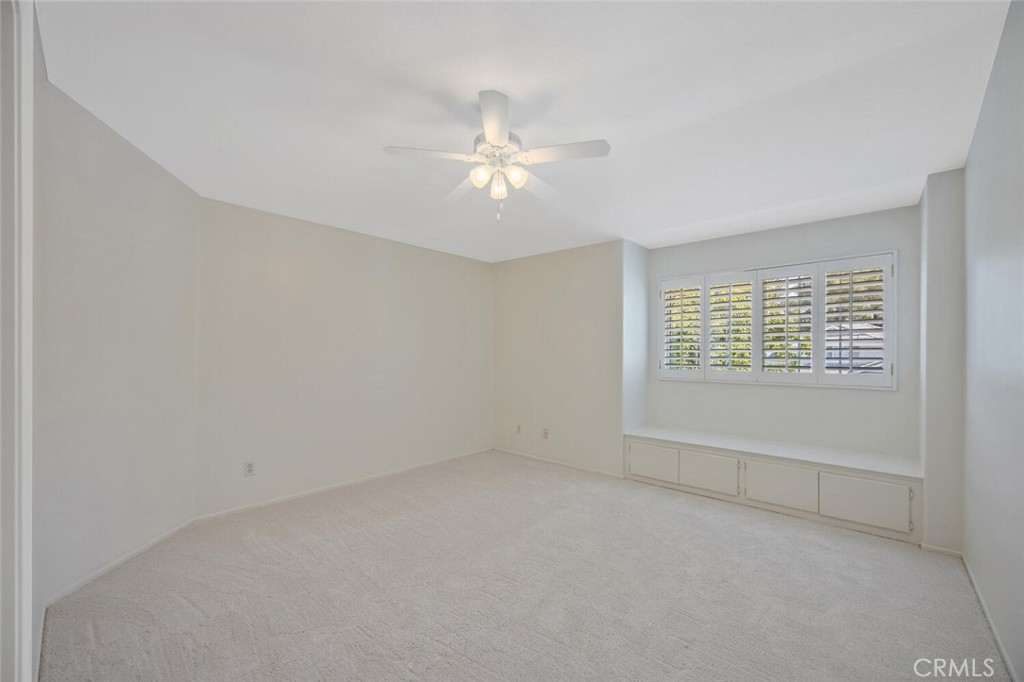 27448 Whitefield Place