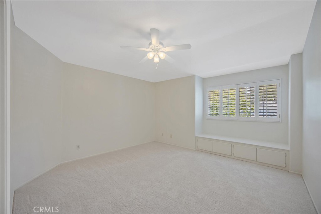 27448 Whitefield Place