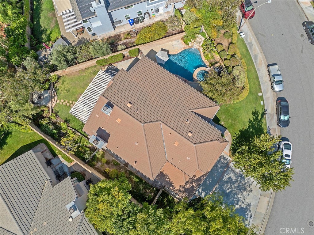 27448 Whitefield Place