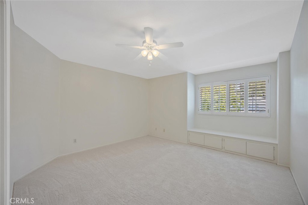 27448 Whitefield Place