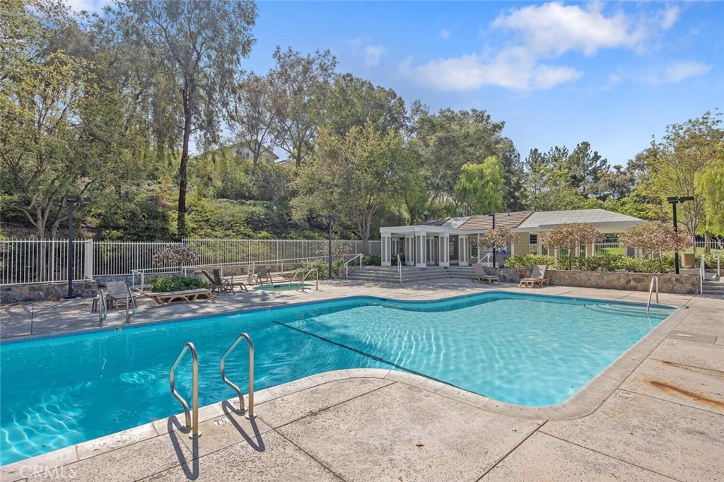 27448 Whitefield Place