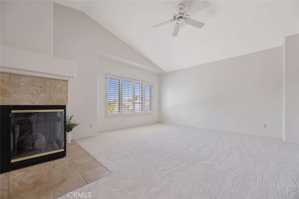 27448 Whitefield Place