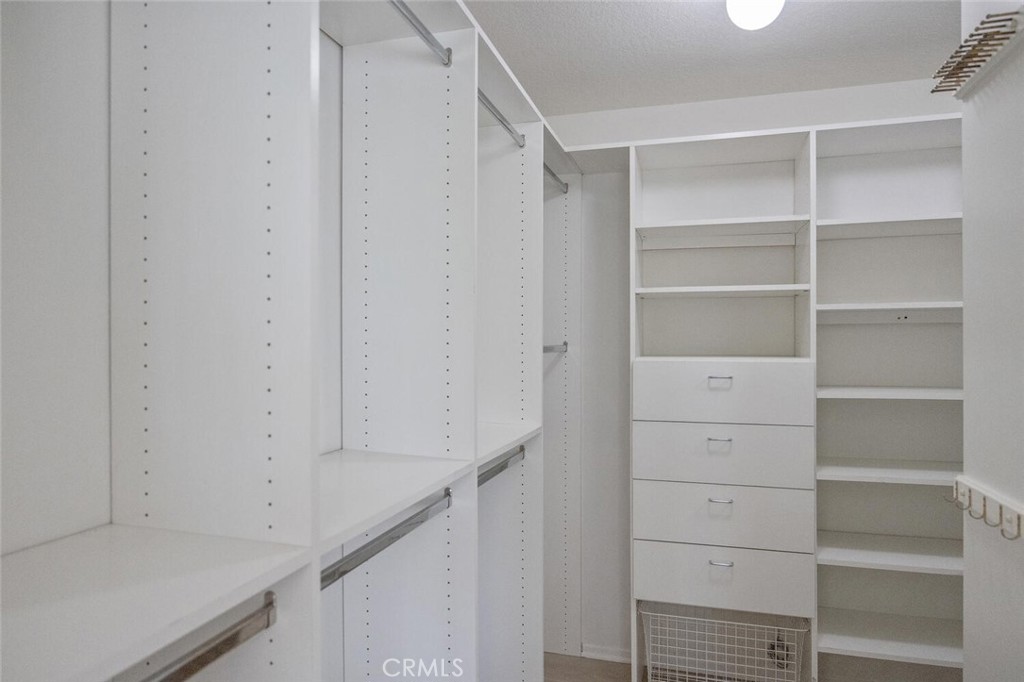 27448 Whitefield Place