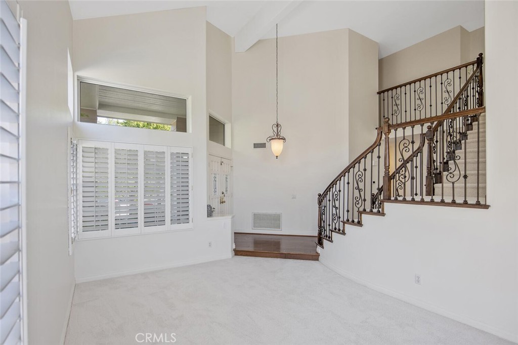 27448 Whitefield Place