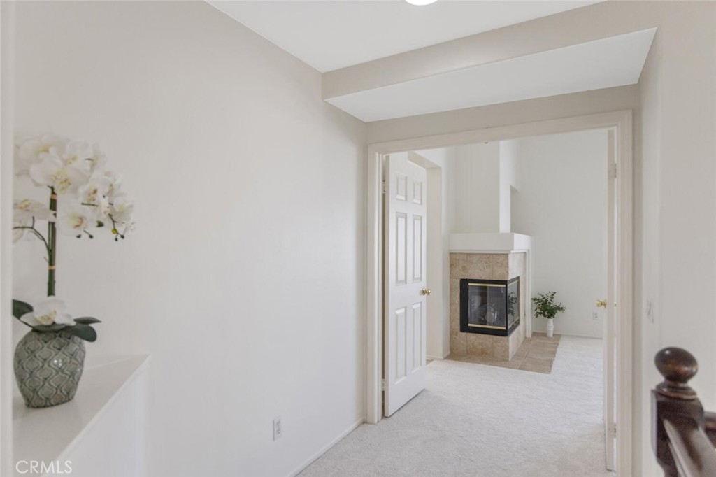 27448 Whitefield Place