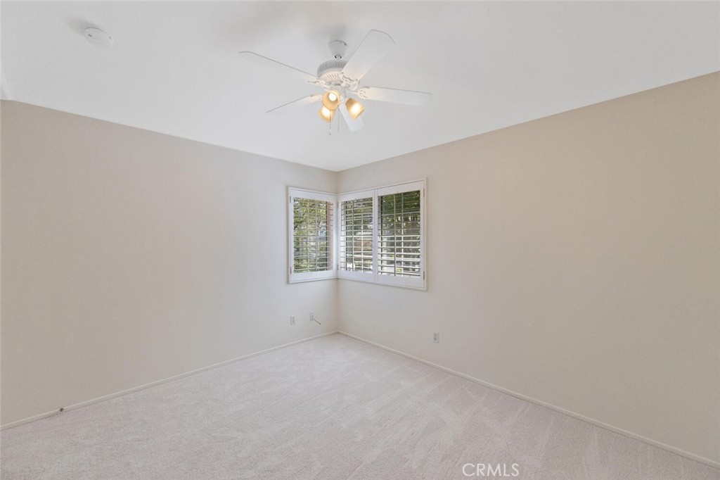 27448 Whitefield Place