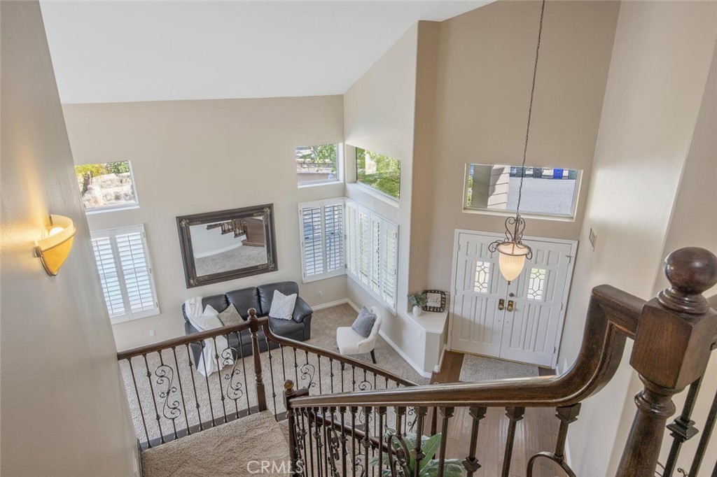 27448 Whitefield Place